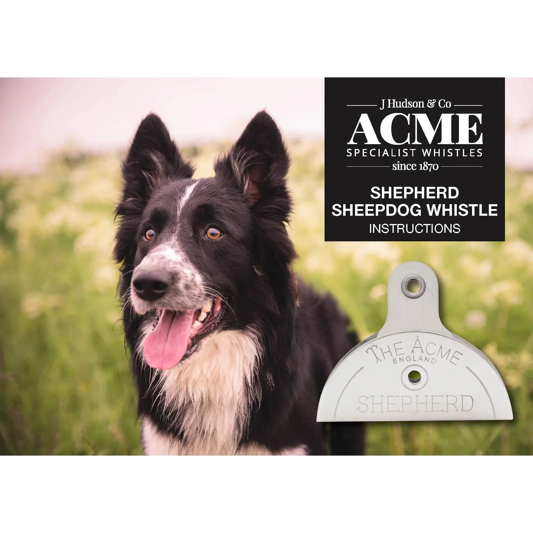 A3172      ~ ACME SHEPHERDS WHISTLE 575