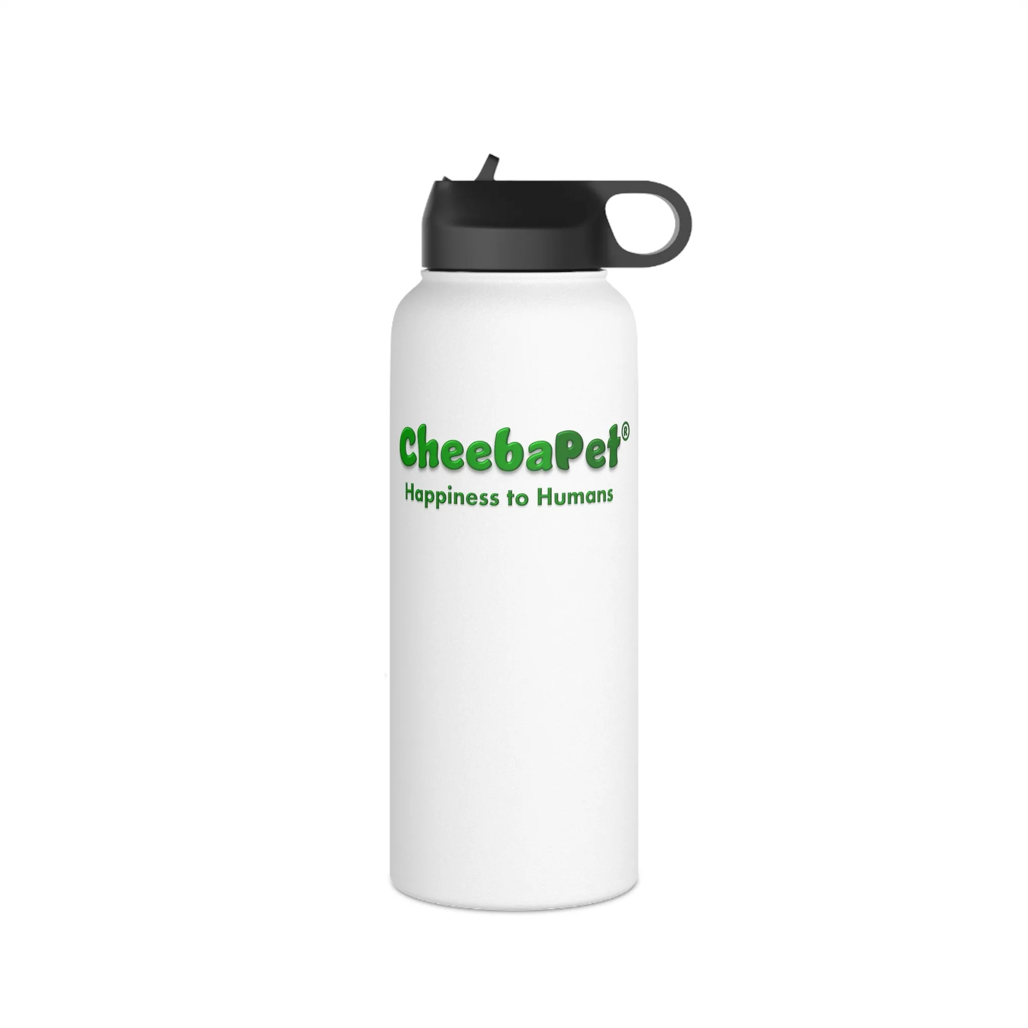 Water Bottle Stainless Steel - NorthernLights